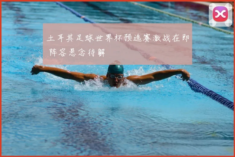 土耳其足球世界杯预选赛激战在即 阵容悬念待解
