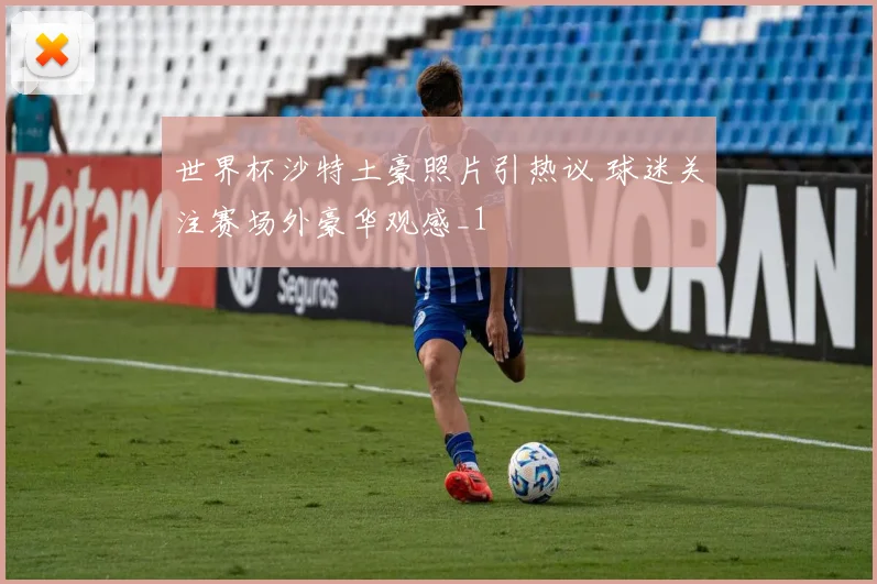 世界杯沙特土豪照片引热议 球迷关注赛场外豪华观感_1