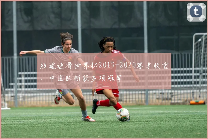 短道速滑世界杯2019-2020赛季收官，中国队斩获多项冠军
