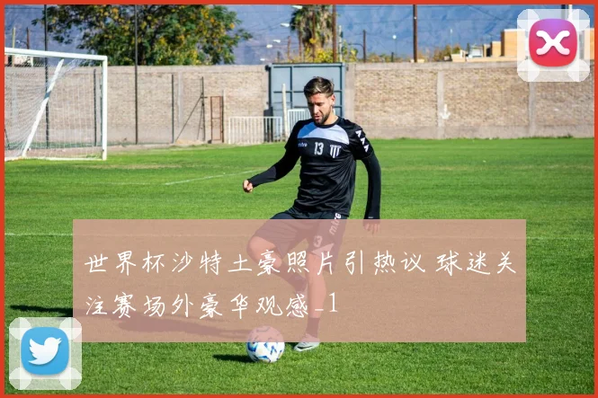 世界杯沙特土豪照片引热议 球迷关注赛场外豪华观感_1