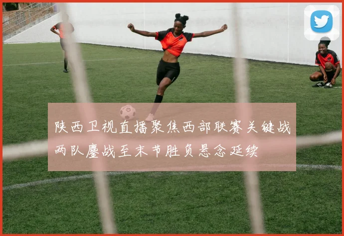 陕西卫视直播聚焦西部联赛关键战两队鏖战至末节胜负悬念延续