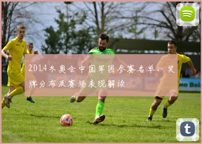 2014冬奥会中国军团参赛名单、奖牌分布及赛场表现解读